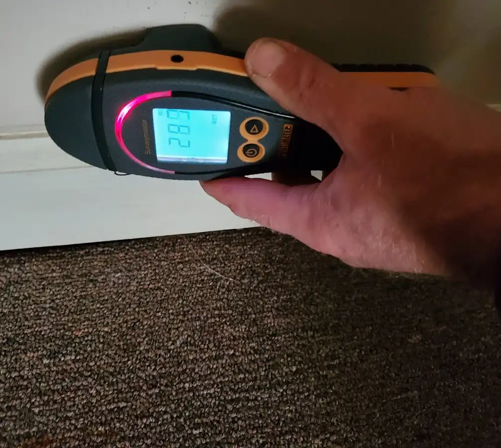 Moisture detection at baseboard during Sewage Cleanup & Sanitation in Coppell